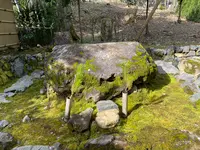 地蔵院（竹の寺）の写真・動画_image_371333