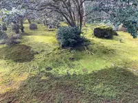 地蔵院（竹の寺）の写真・動画_image_371337