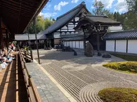 東福寺の写真・動画_image_371359