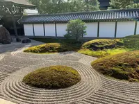 東福寺の写真・動画_image_371360