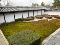 東福寺の写真・動画_image_371362