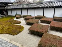 東福寺の写真・動画_image_371363