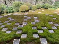 東福寺の写真・動画_image_371365