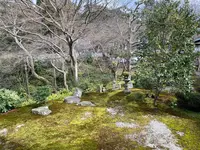 東福寺の写真・動画_image_371367