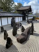 東福寺の写真・動画_image_371368