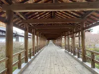 東福寺の写真・動画_image_371370