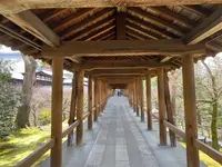 東福寺の写真・動画_image_371371