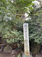 新熊野神社の写真・動画_image_371378