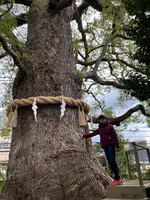 新熊野神社の写真・動画_image_371379