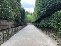 銀閣寺(東山慈照寺)の写真・動画_image_371428