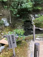 銀閣寺(東山慈照寺)の写真・動画_image_371433
