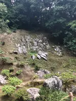 銀閣寺(東山慈照寺)の写真・動画_image_371436