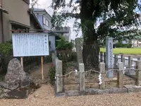 篠村八幡宮の写真・動画_image_371459