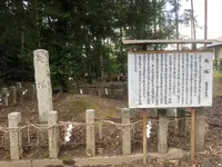篠村八幡宮の写真・動画_image_371464