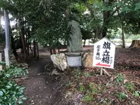 篠村八幡宮の写真・動画_image_371466