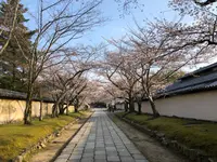 醍醐寺の写真・動画_image_371471