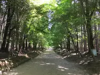 醍醐寺の写真・動画_image_371472