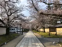 醍醐寺の写真・動画_image_371476