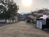 醍醐寺の写真・動画_image_371477