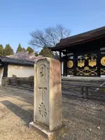 醍醐寺の写真・動画_image_371478
