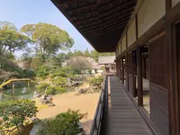 醍醐寺の写真・動画_image_371482