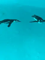 志摩マリンランドの写真・動画_image_371528