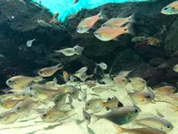 志摩マリンランドの写真・動画_image_371532