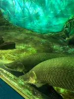 志摩マリンランドの写真・動画_image_371534