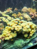 志摩マリンランドの写真・動画_image_371535