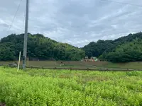 総合公園バンブージョイハイランドの写真・動画_image_371641