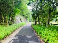 総合公園バンブージョイハイランドの写真・動画_image_371643