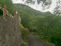 黒滝山の写真・動画_image_371650