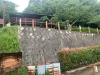 黒滝山の写真・動画_image_371655