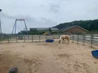 八天堂 カフェリエ （Hattendo Cafelie）の写真・動画_image_371705