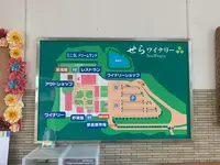 せらワイナリーの写真・動画_image_371721