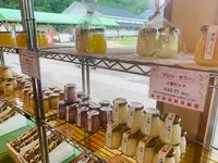 せらワイナリーの写真・動画_image_371738