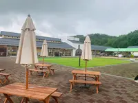 せらワイナリーの写真・動画_image_371750