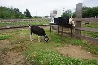 花の駅せらの写真・動画_image_371776