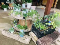 花の駅せらの写真・動画_image_371782