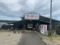花の駅せらの写真・動画_image_371786