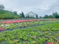 花の駅せらの写真・動画_image_371788