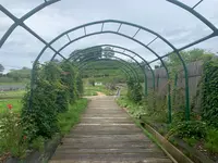 花の駅せらの写真・動画_image_371794