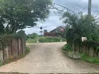 香山ラベンダーの丘の写真・動画_image_371817