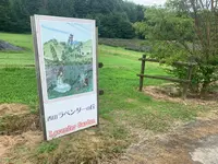 香山ラベンダーの丘の写真・動画_image_371818
