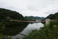 夢吊橋の写真・動画_image_371854