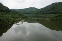 夢吊橋の写真・動画_image_371855