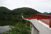 夢吊橋の写真・動画_image_371856