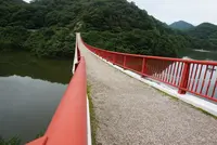 夢吊橋の写真・動画_image_371857