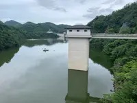 夢吊橋の写真・動画_image_371859