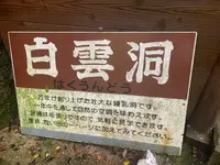 白雲洞の写真・動画_image_371947